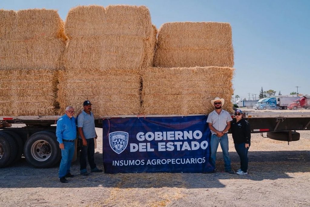 Continúa Gobierno Municipal y Estatal entregando pacas de paja de avena a productores