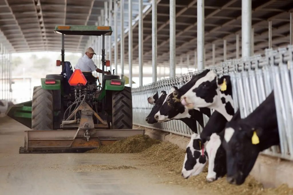 En Sinaloa los ganaderos piden un incremento de casi $5 pesos por cada litro de leche vendido