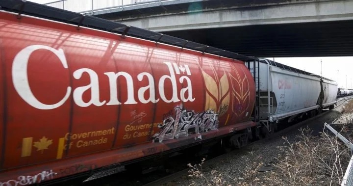 La huelga ferroviaria tendría un «enorme impacto financiero» para los agricultores de Columbia Británica