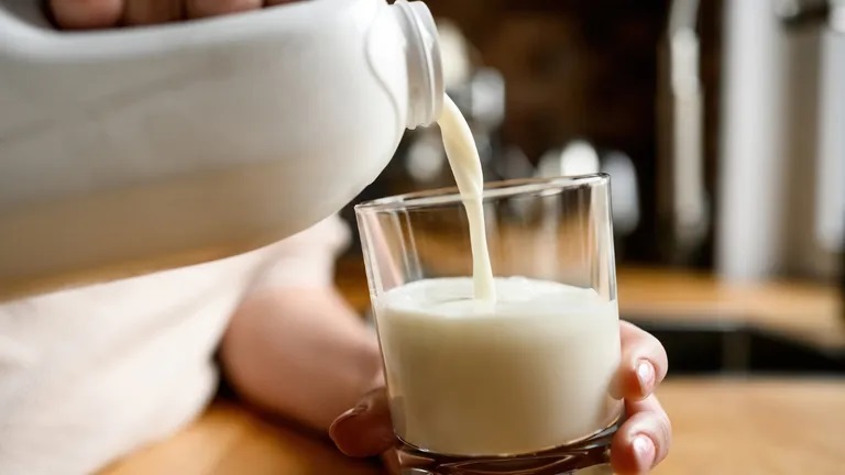 La leche de vaca, una mala fama carente de evidencia
