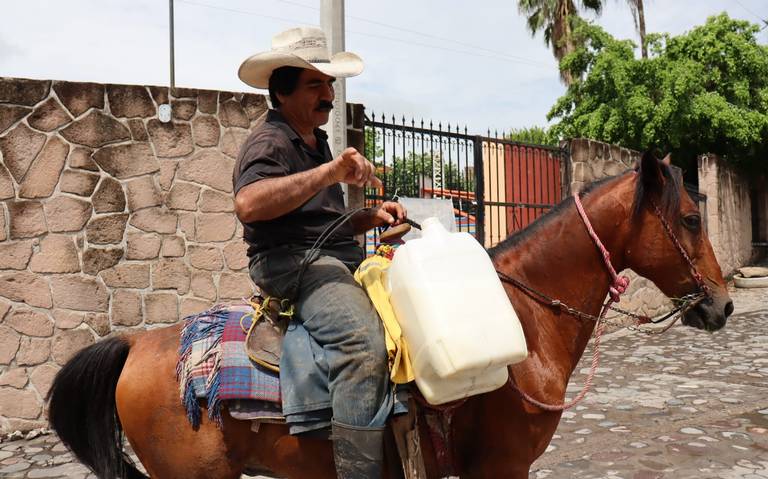 Productores de leche compiten con productos industrializados