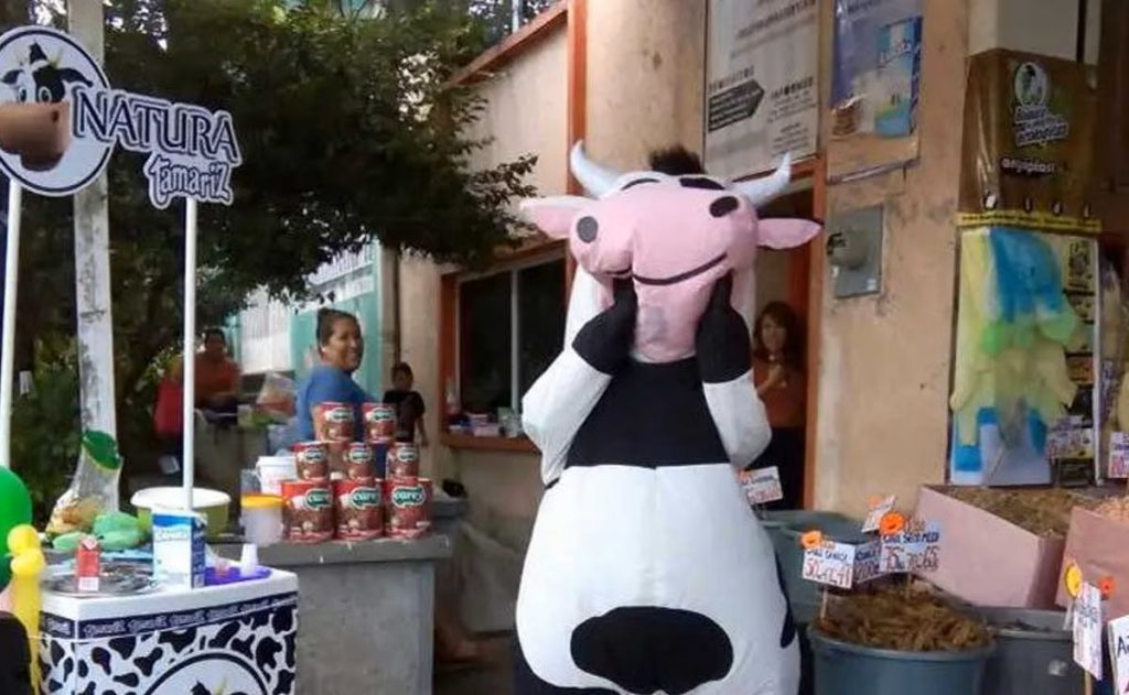 Quién está detrás del emporio de la leche Tamariz y por qué está ligado al Club Puebla