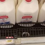 Alcanza hasta los 75 pesos el galón de leche