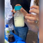 Buscan blindar quesos de cabra de bacterias patógenas