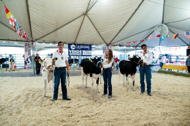 DIGAL presenta el Club Juvenil Holstein, donde las futuras generaciones interactúan con el ganado lechero y aprenden a tomar aprecio por estos animales