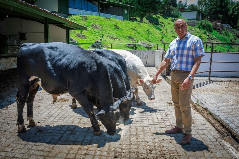 Expertos UAEMéx proponen praderas multiespecie para optimizar producción de forraje