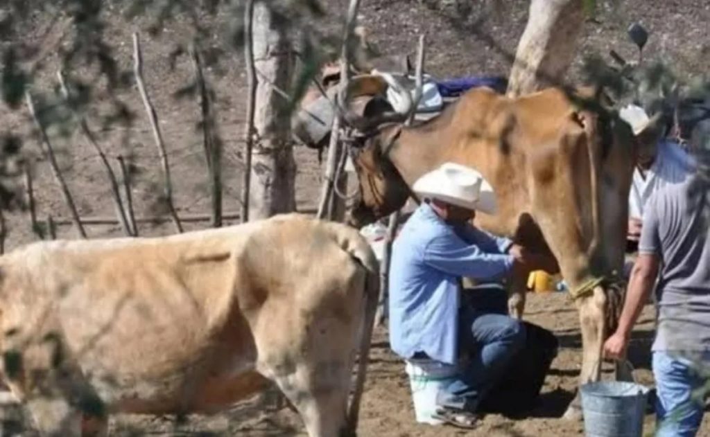 Gerardo Vargas plantea a Julio Berdegué problema de la leche en Ahome