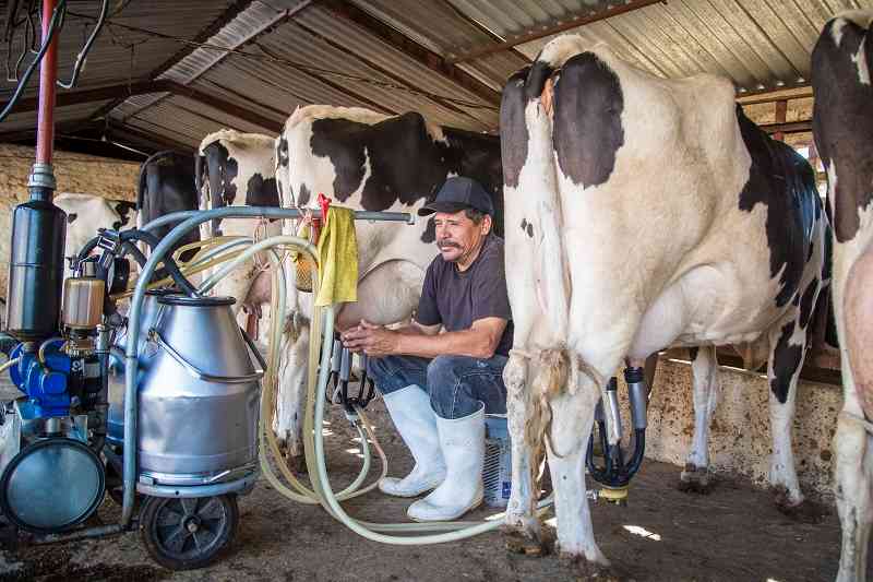 INNOVACIÓN Y SOSTENIBILIDAD Grandes empresas de la industria alimentaria se unen a Sistema.bio para transformar la agricultura en México