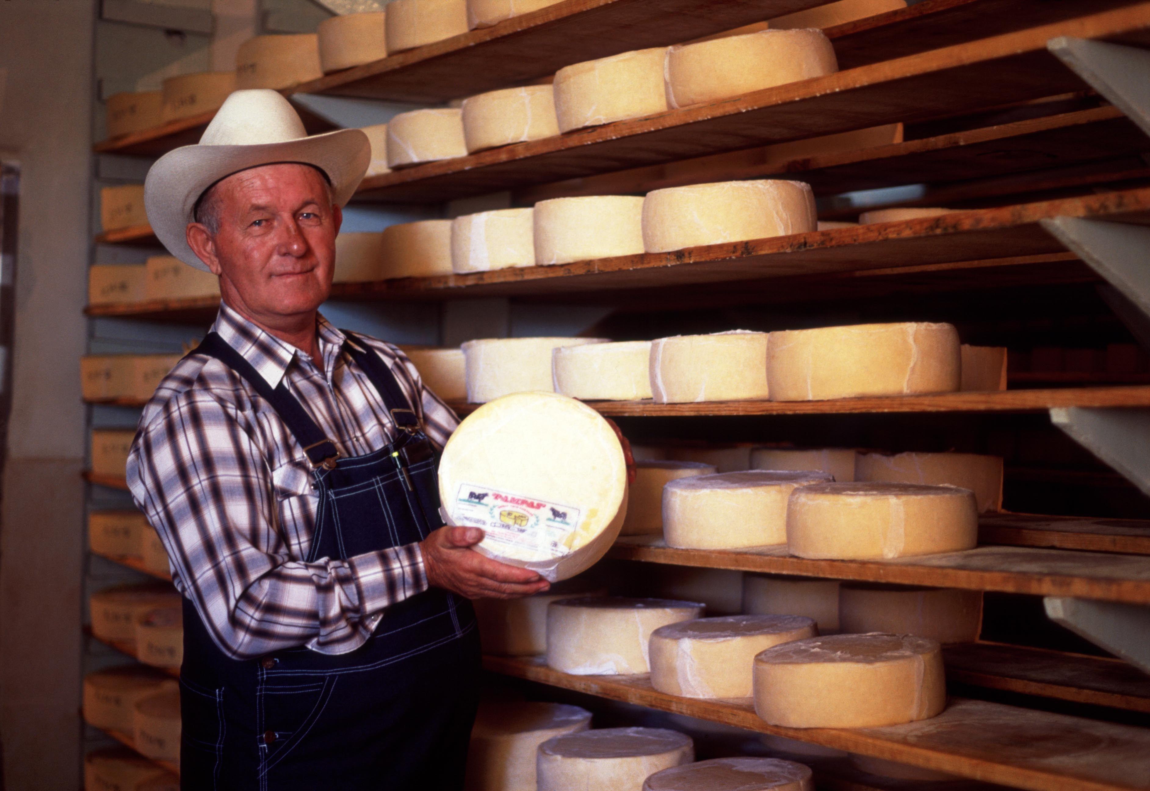 La Historia Que Cuenta El Queso Menonita - EDairy News Mexico