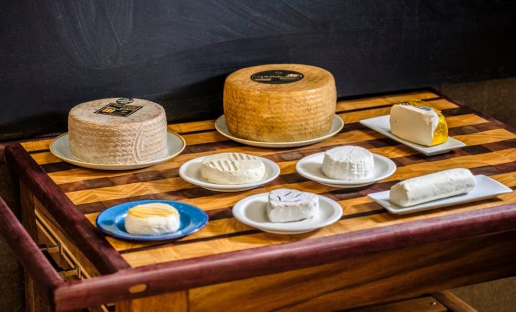 10 quesos artesanales mexicanos que tienes que probar