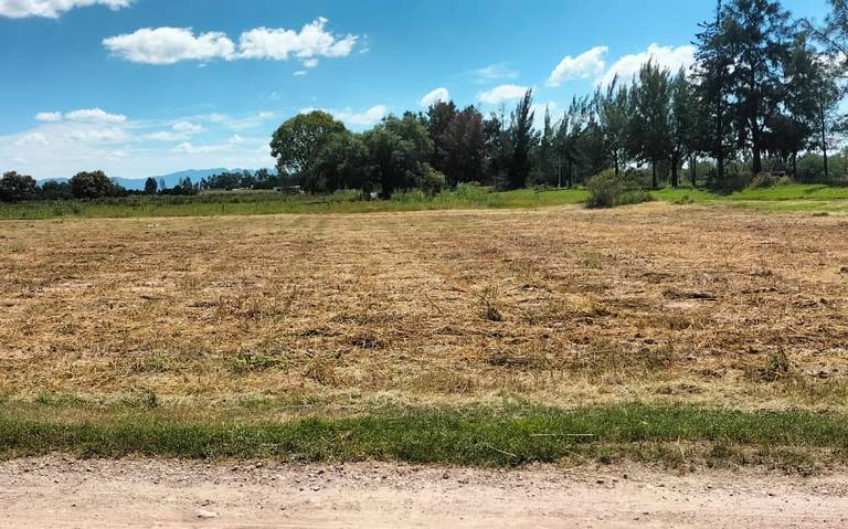 50 del campo en el municipio de Durango con impacto negativo en el ciclo agrícola de 2024