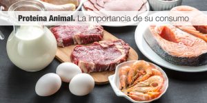 Aumentó 11 consumo de proteína de origen animal en los últimos años