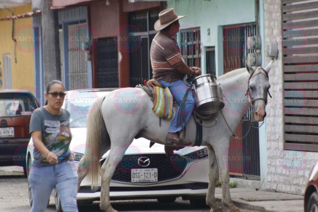 Con lecheras y a caballo, tradición que perdura