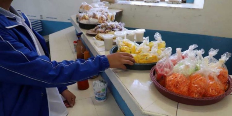 Cuáles serán los alimentos que sí estarán permitidos vender en las escuelas