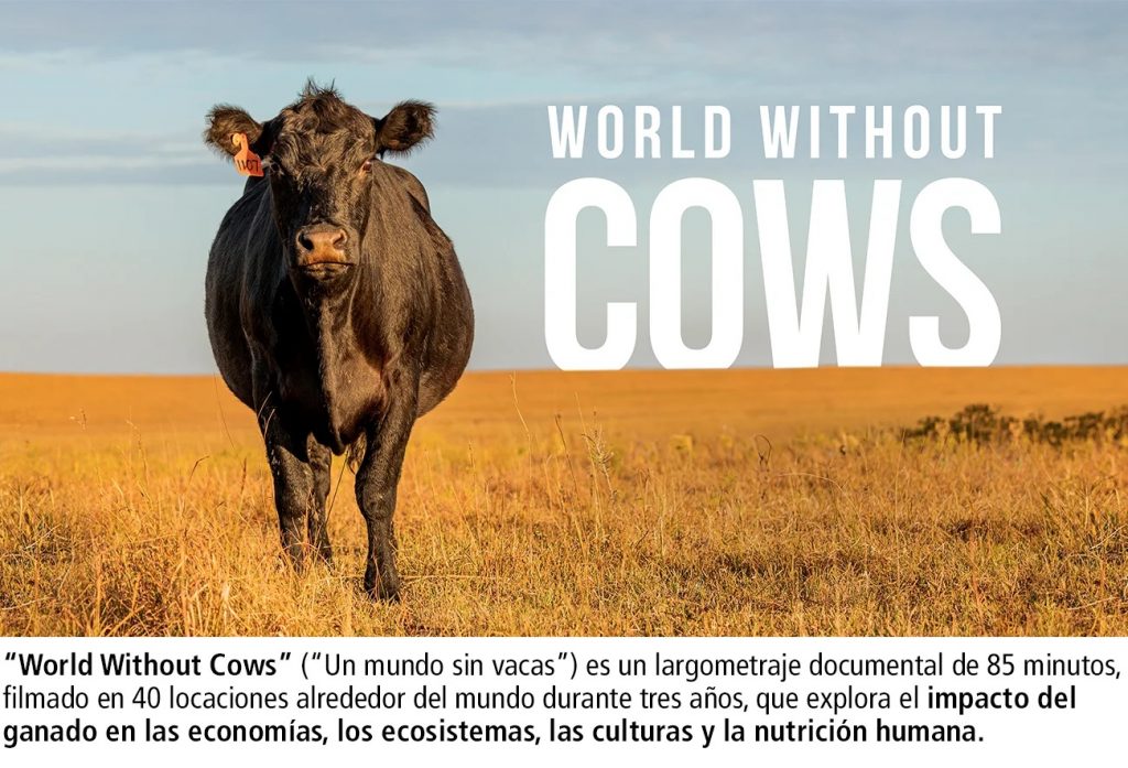 Qué pasaría si todas las vacas desaparecieran de repente