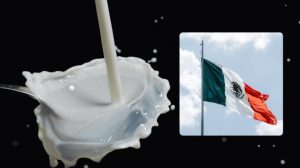 Estos son los 3 estados que lideran la producción de leche en México