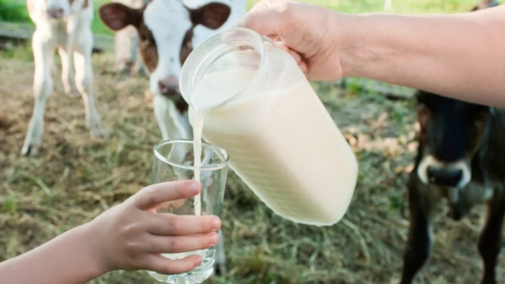 Gripe aviar retiran lote de leche cruda de una granja lechera de California