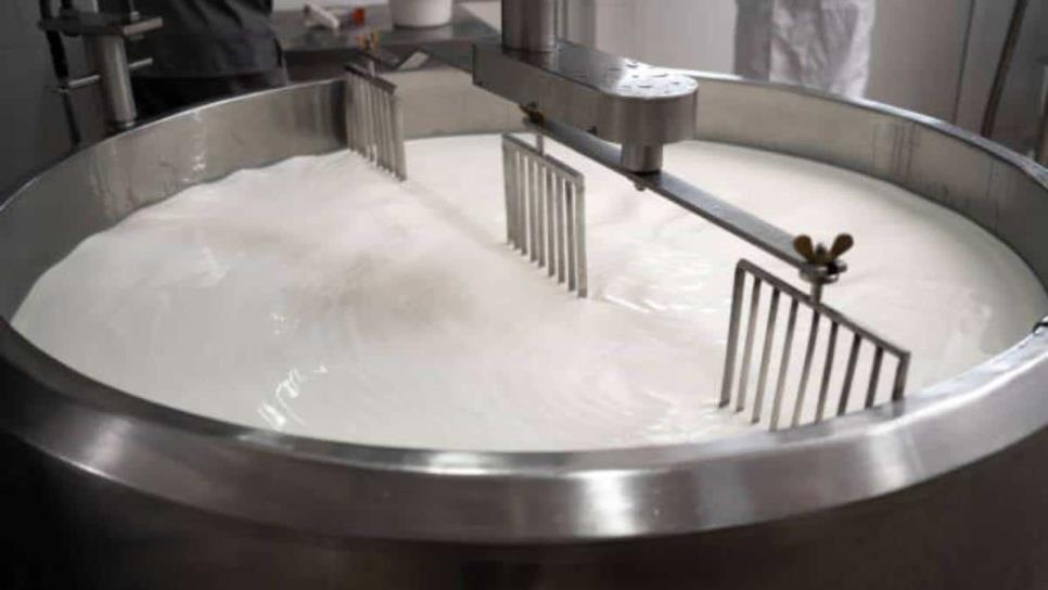 Impulsa SADER instalación de pasteurizadora en Sinaloa