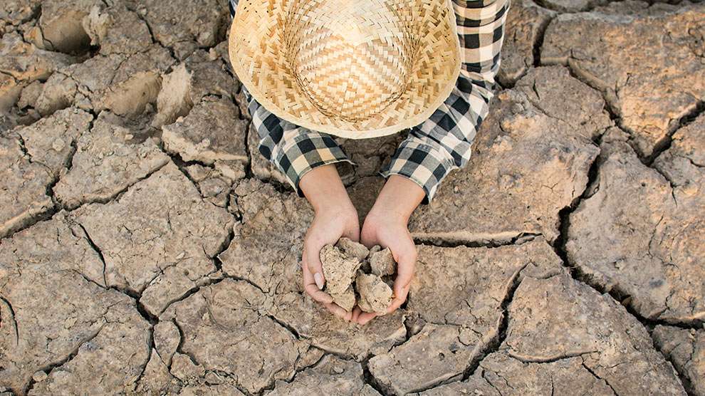 La Sequía Prolongada Afectará La Producción Agrícola En Chihuahua Y Otros Estados, Aumentando Los Precios De Productos Del Campo En 2025