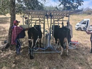 Mejora pago de leche a productores tras aumento en demanda