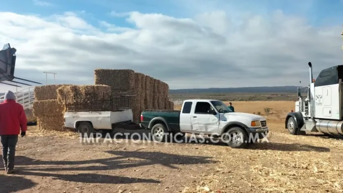 Entregan pacas de rastrojo a precio subsidiado a productores de La Cruz