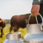 Producción de leche mejora, pero sigue urgente aumentar su precio