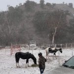 Descartan afectación al campo por las heladas