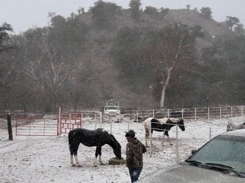 Descartan afectación al campo por las heladas