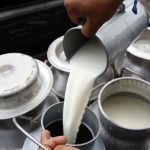 El 28% de la leche nacional es de riesgo