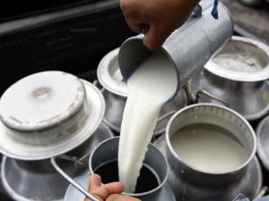 El 28% de la leche nacional es de riesgo