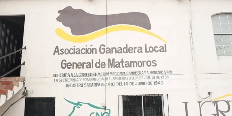 Frío extremo amenaza al ganado en Matamoros Urgen medidas de protección