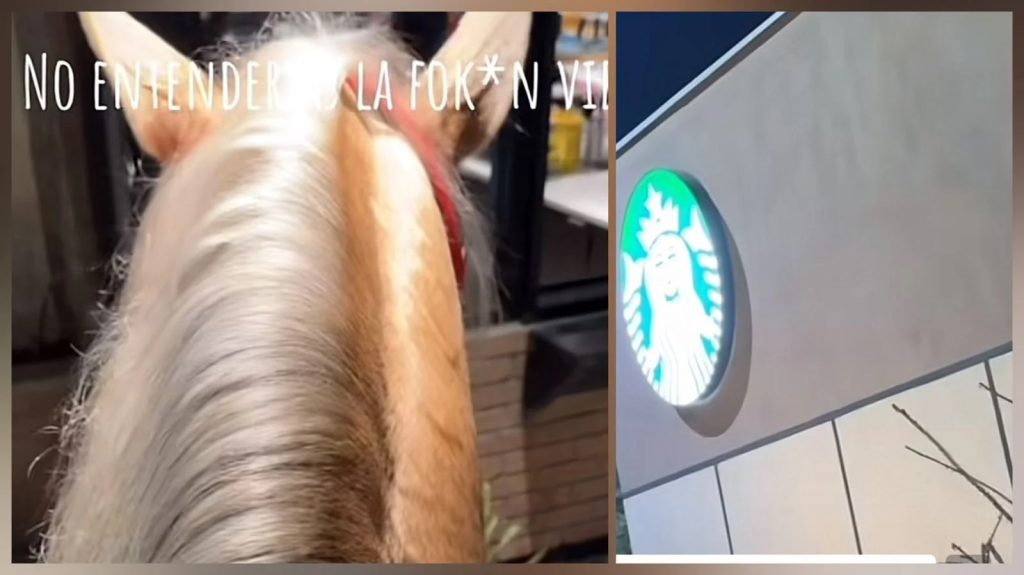 Me da leche bronca para mi caballo Personas llegan cabalgando a Starbucks de Santiago, NL