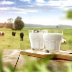 Producción de leche en México crece con enfoque sostenible