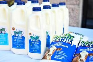 Productores de leche buscan posicionar “Muuuy leche” en la entidad