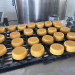 Qué tiene de especial el queso añejo de Durango y dónde se produce