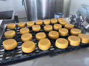 Qué tiene de especial el queso añejo de Durango y dónde se produce