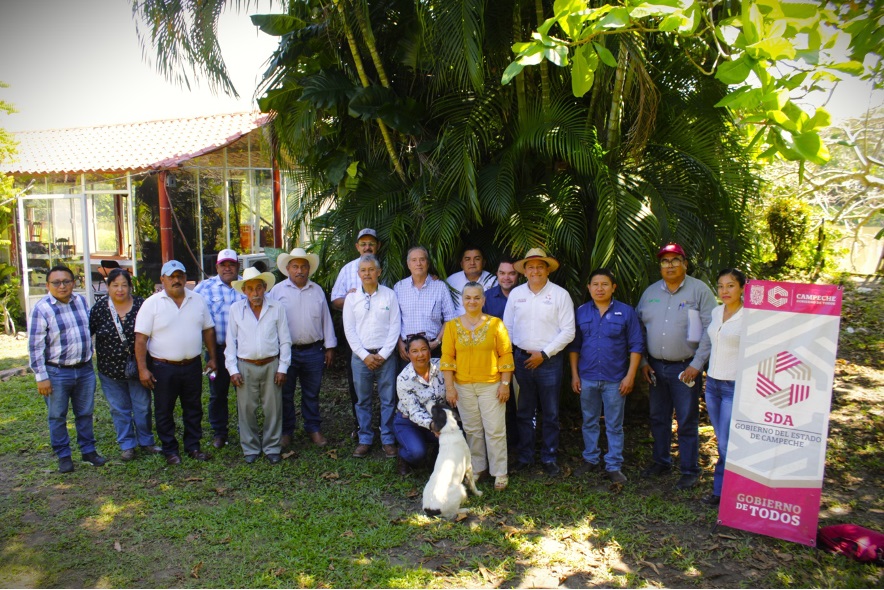 CAPACITACIÓN PARA MEJORAR LA PRODUCCIÓN LECHERA EN PALIZADA