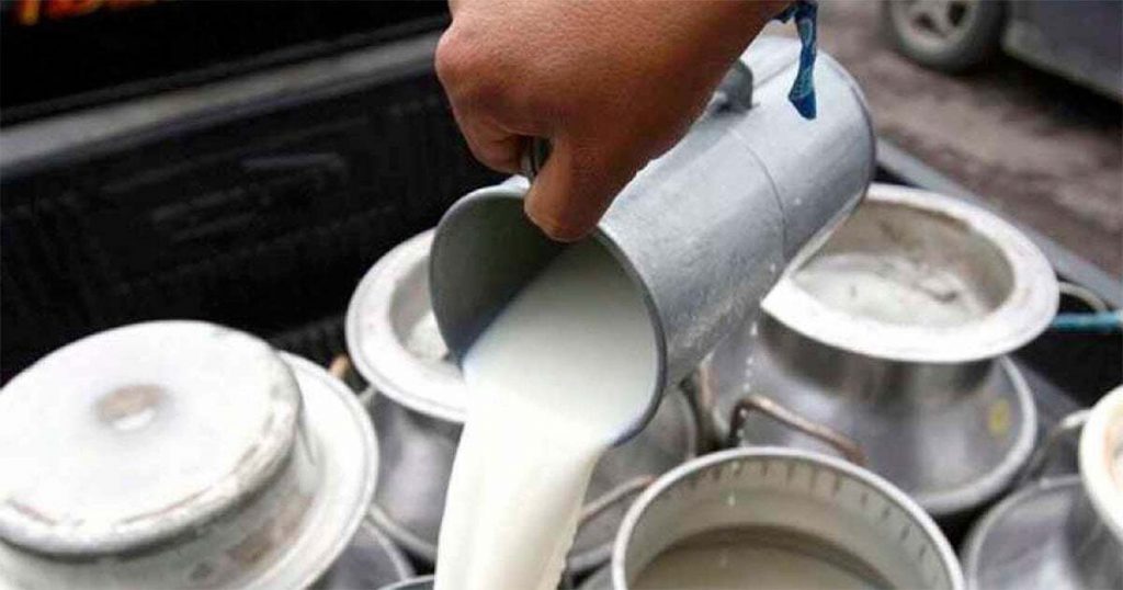 De los granos a la leche Productores de Guanajuato buscan apoyo