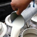 De los granos a la leche Productores de Guanajuato buscan apoyo