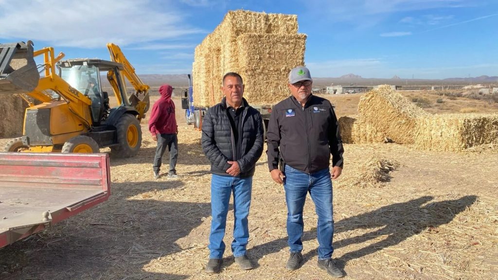 Entrega de Pacas Subsidiadas en el Municipio de La Cruz Apoyo a Productores Ganaderos en Tiempos de Sequía