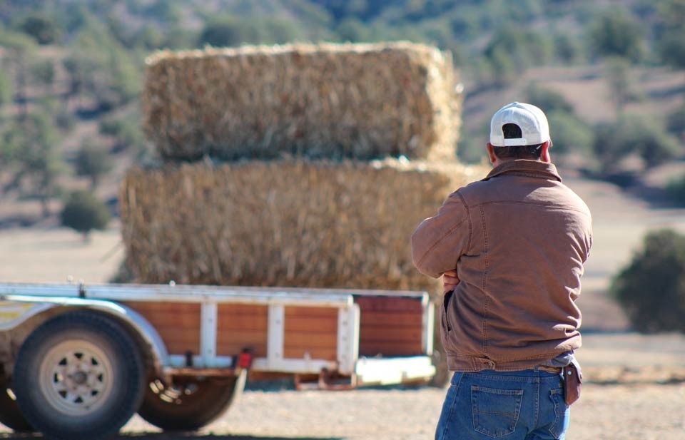 Entregan mil pacas de rastrojo ante sequía