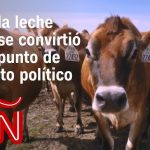 Cómo la leche cruda se convirtió en un punto de conflicto político en la guerra cultural