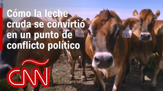 Cómo la leche cruda se convirtió en un punto de conflicto político en la guerra cultural