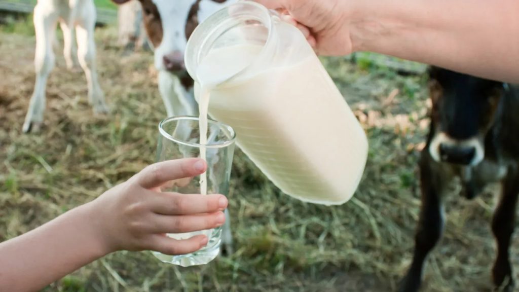 Empresa láctea de Nueva York suspende venta de leche cruda por Listeria