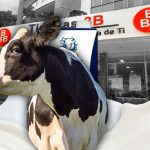 Quién es dueño de Vaca Blanca, marca estrella de las Tiendas 3B que vende leche, queso y yogurt