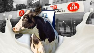 Quién es dueño de Vaca Blanca, marca estrella de las Tiendas 3B que vende leche, queso y yogurt