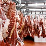 Reportan incremento en la producción de leche y carne de res