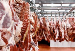 Reportan incremento en la producción de leche y carne de res