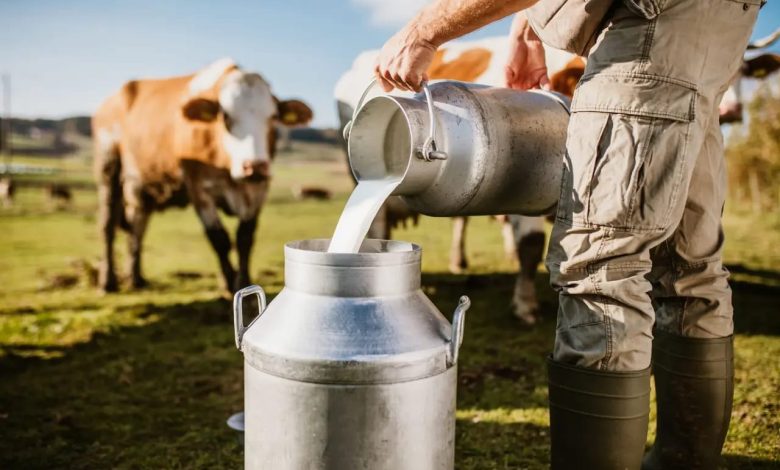 Innovación tecnológica detona industria láctea