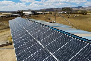 Abren convocatoria para adquirir paneles solares para el campo